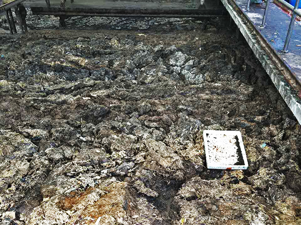 化粪池清理