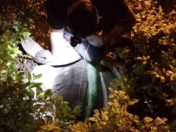 工人清理粪池