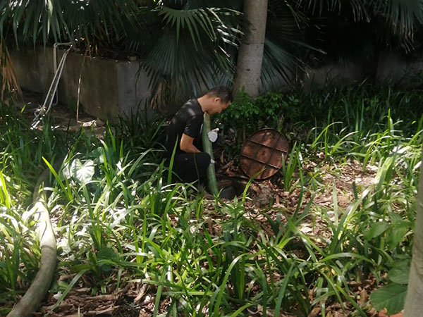 化粪池清理