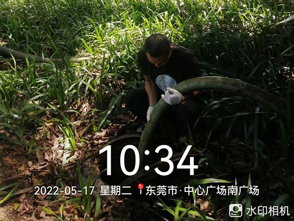 化粪池清理
